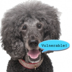 poodle-vulnerable